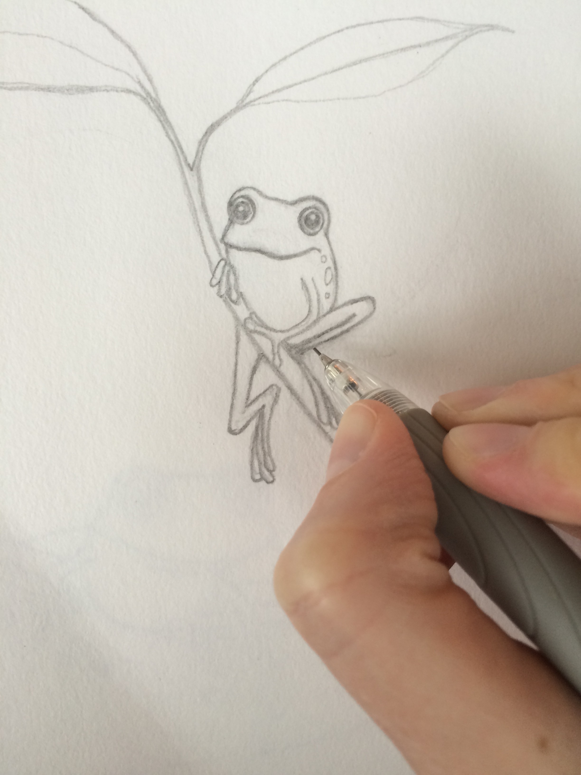 frog_drawing